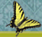 butterfly flapping wings
